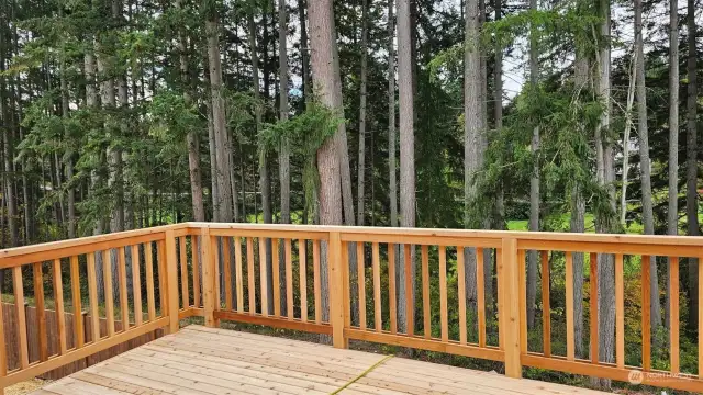 Home backs to overlooking the tree lined critical area.