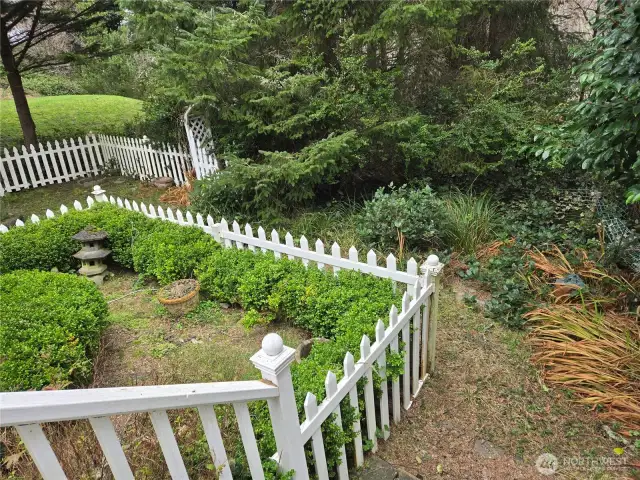 English Garden in the back yard