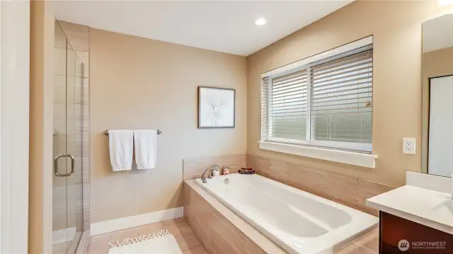 Luxurious primary suite with 5-piece bathroom. Private room for stool.