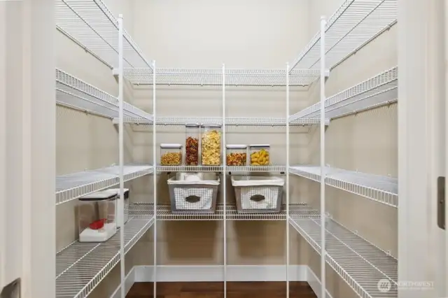 Spacious pantry.