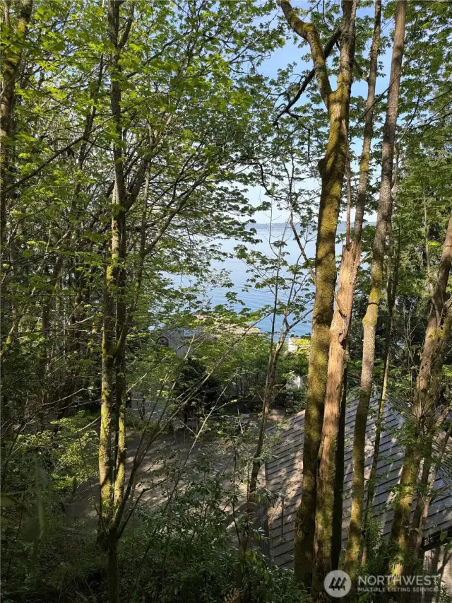 Second views of sound from the lot.  The view will be amazing once trees are cleared for home sites