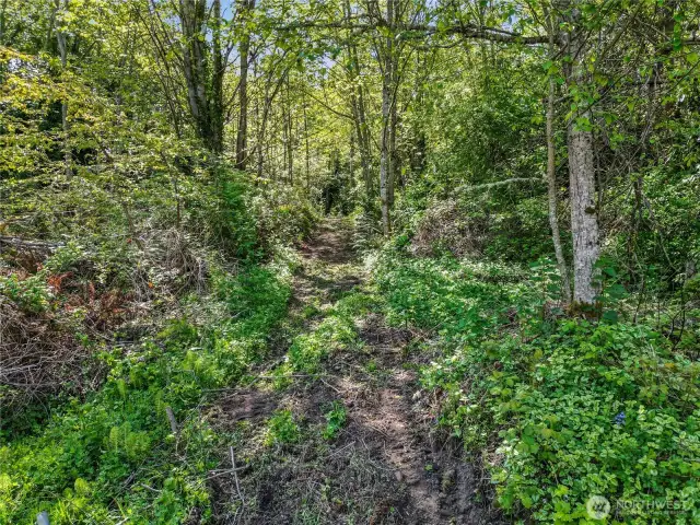 Entry road view of ready to build large lot next to water view home at end of private street.  Property is mostly flat at top of drive way