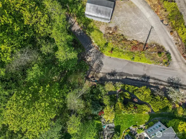 Here is aerial view of road entry into property at and of street.  Property to build on has been partially cleared to walk in these trees to the left