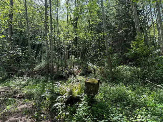 Here is power box connected to 4 wells on property to hold water run off in soils per city and neighborhood