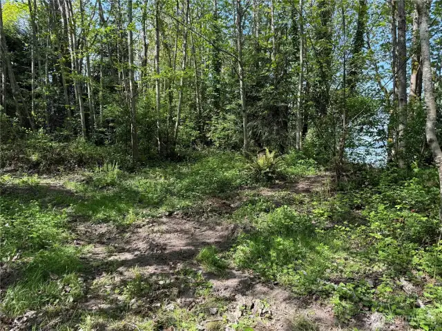 Build site view of this flat partially cleared property with stunning views of sound to enjoy after building and clearing remaining lot