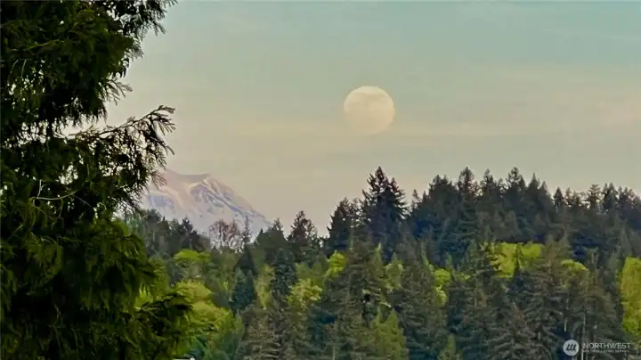 Magical Nights await!