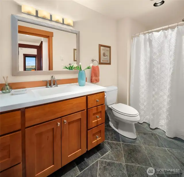 Lower level 3/4 bath with slate floors.