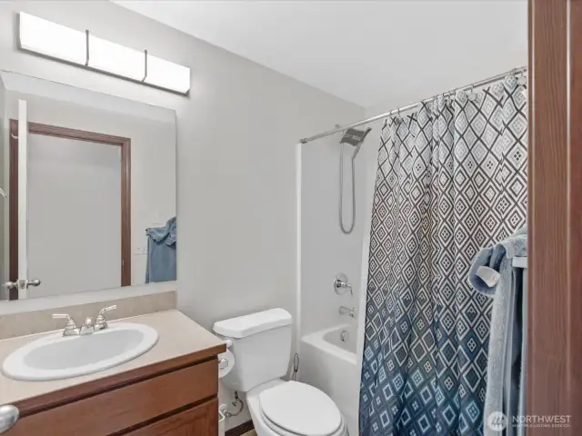 Guest/hall bathroom