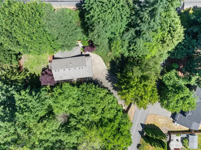 Aerial view of the 15, 500 SF lot.