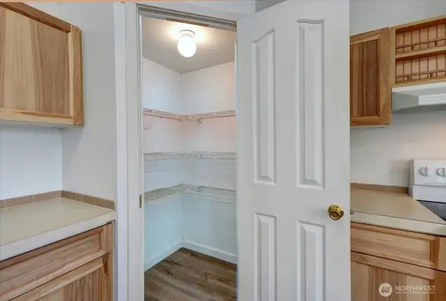 Kitchen also features a walk-in pantry.