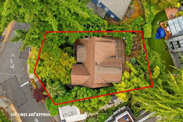 Aerial