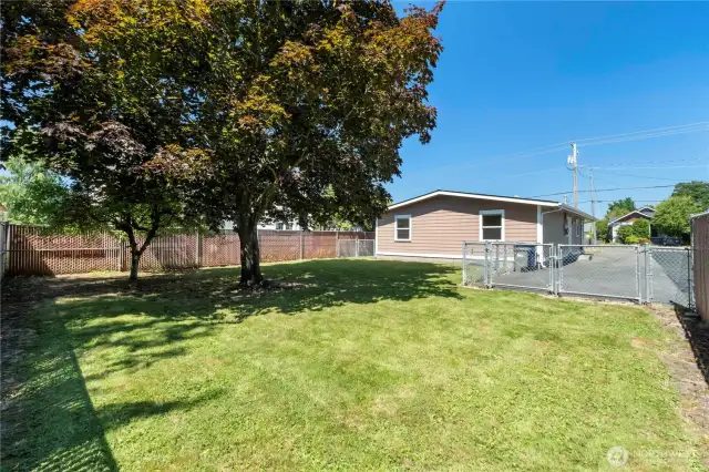 Fully-fenced backyard