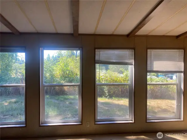 Family room windows