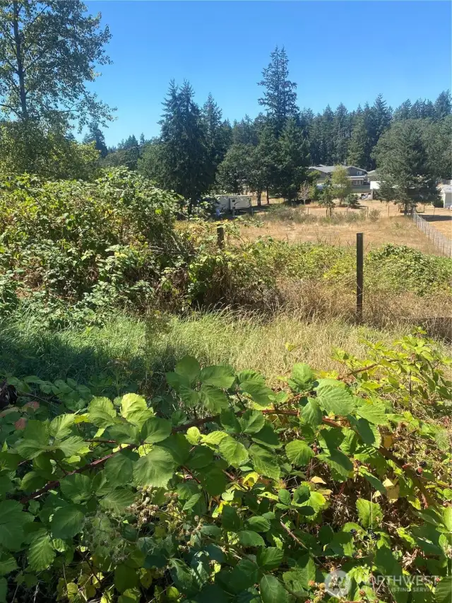 Acreage on property