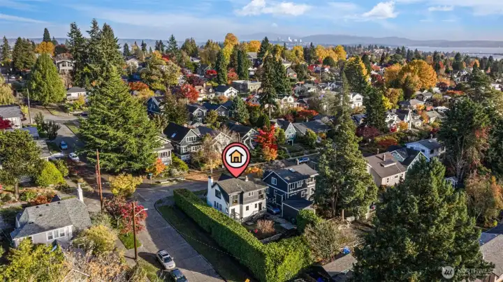 This corner lot adds to the appeal of this property providing additional side street access for the potential of a lower level ADU.