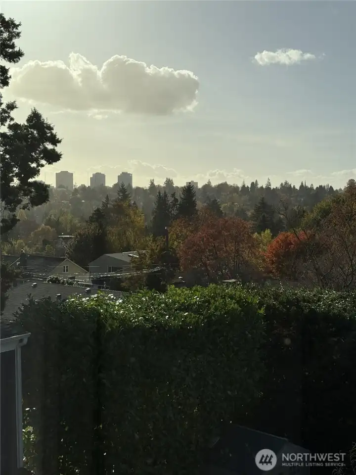 That downtown view from both upstairs bedrooms and bathroom!