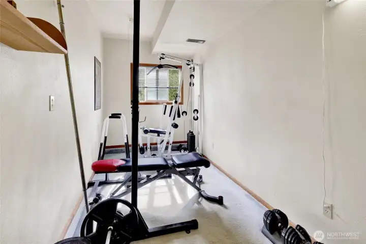This fully finished room is used as the homeowners weight room...however, it would also make a wonderful, quiet office space!