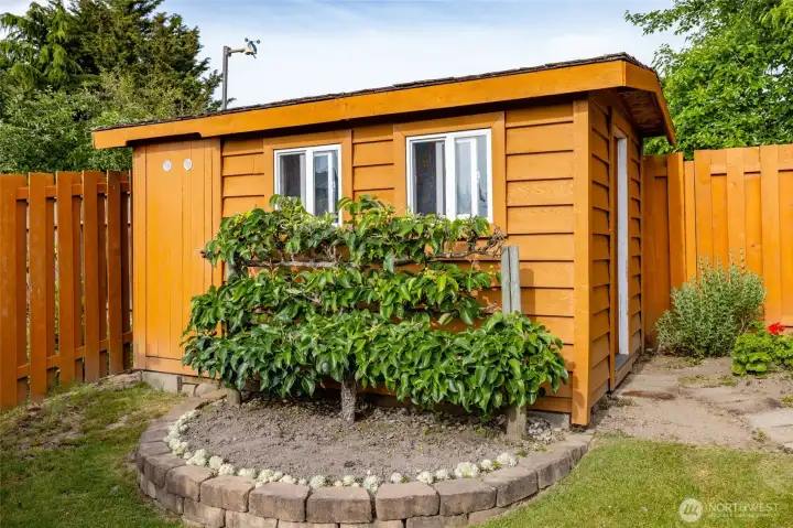 This handy garden shed holds all your outdoor tools - or make it a playhouse!