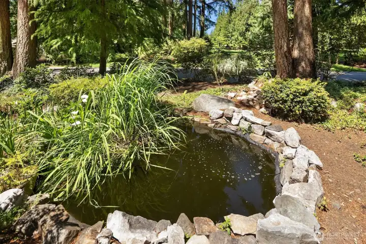 Water feature adds charm and tranquility to the approach.