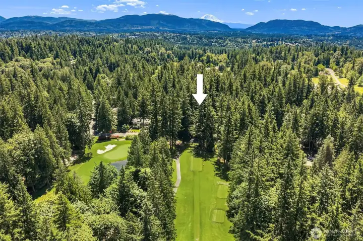 Aerial view.