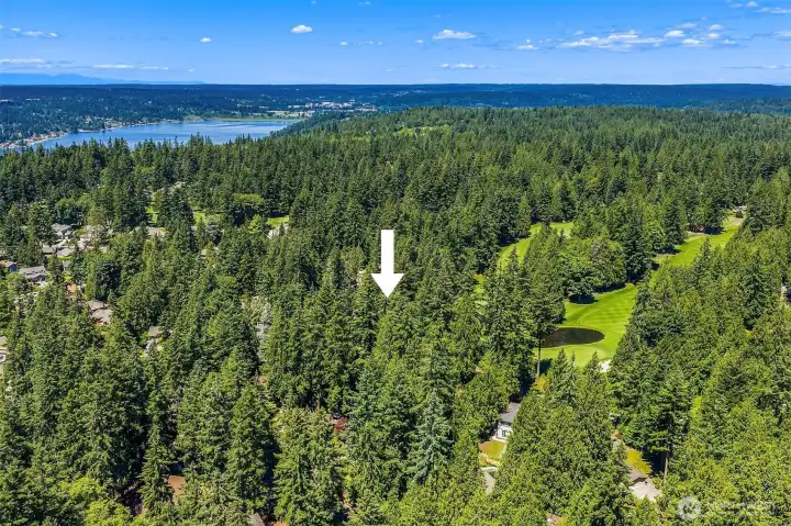 Aerial view.