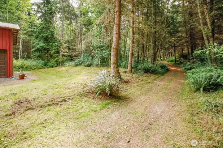 Come along on a walking tour of the property! "Center" walking trail heading south (roughly in the center of the property) Come along on a walking tour of the property! "Center" walking trail heading south (roughly in the center of the property)