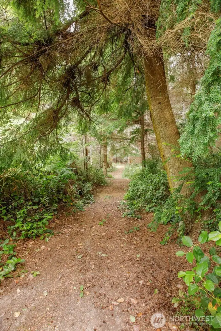 South trail headed West South trail headed West
