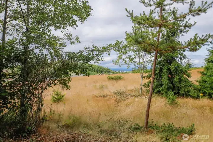 Southwest corner of property with distant water view Southwest corner of property with distant water view