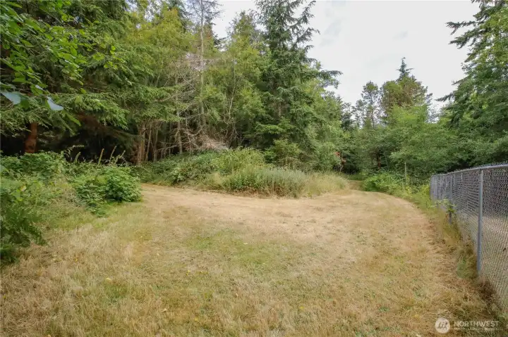 Southeast Corner of property showing the South trail on the left and the East trail on the right. Southeast Corner of property showing the South trail on the left and the East trail on the right.