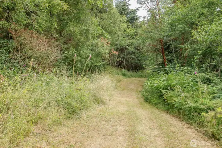 East trail headed North. East trail headed North.