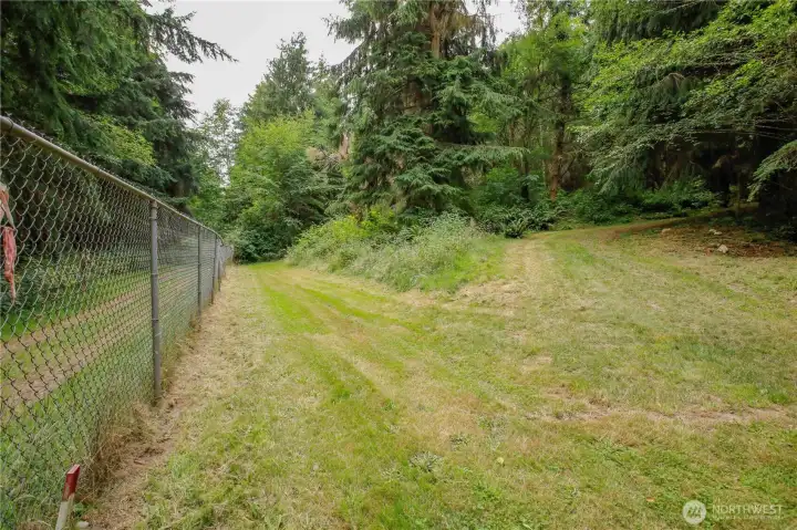 Northeast corner of property looking back to the south. Northeast corner of property looking back to the south.