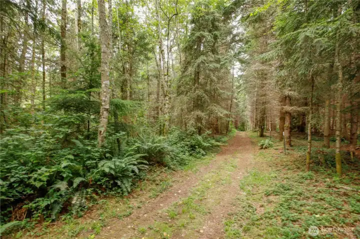 North trail headed West North trail headed West