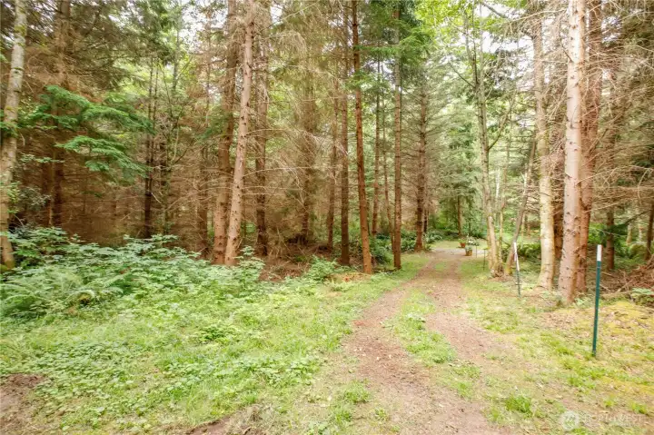 North trail headed West. You can see the driveway ahead. This is close to the Northwest corner of the property. North trail headed West. You can see the driveway ahead. This is close to the Northwest corner of the property.