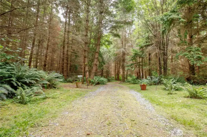 Here's another view of the entry driveway close to the northwest corner of the property. Here's another view of the entry driveway close to the northwest corner of the property.