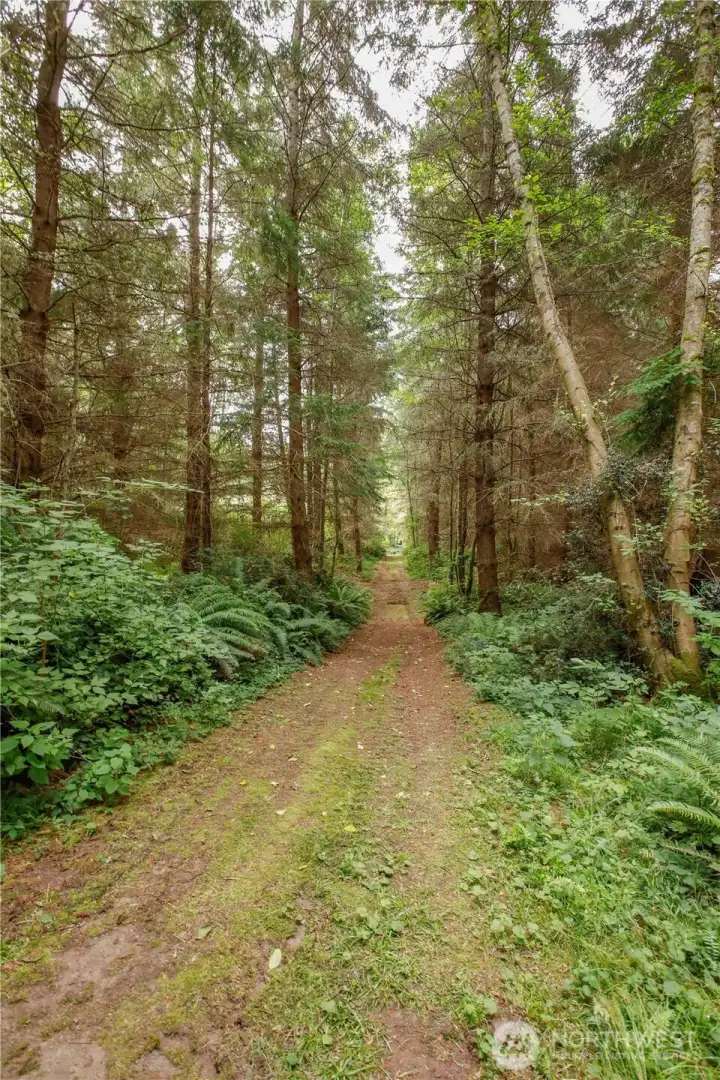 We've skipped over to the center trail, and we're headed south back to the pole barn We've skipped over to the center trail, and we're headed south back to the pole barn