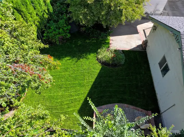 View of back yard