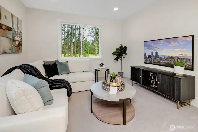Media Room