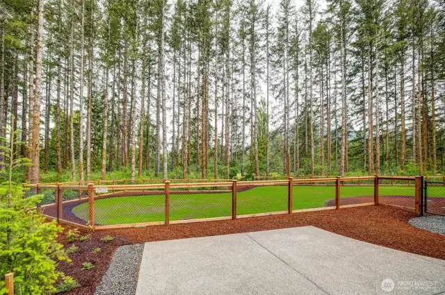 Fenced Backyard