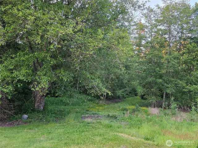 Just past the shop looking towards the forest. Clear the land to have a pasture area for horses or livestock, or keep it forested for privacy. Endless possibilities!