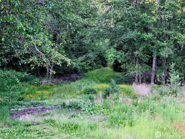 View from the back porch of the home.