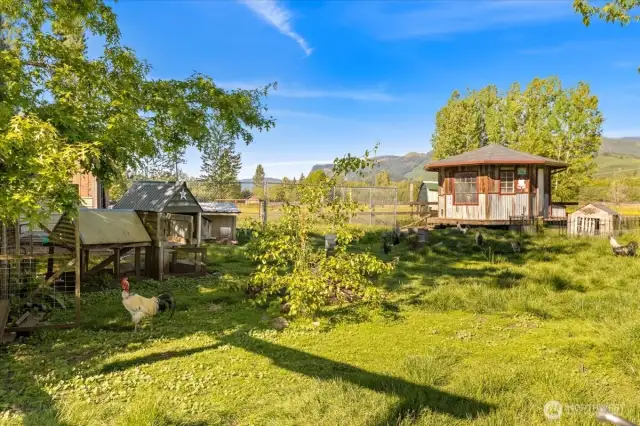 Experience the charm of farm life with a fully functional chicken coop—fresh eggs and country living await