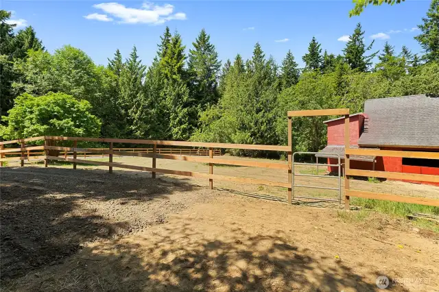 Driveway to pasture area