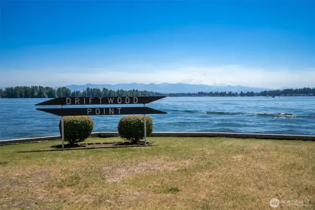 View of Mt.Rainier from Park
