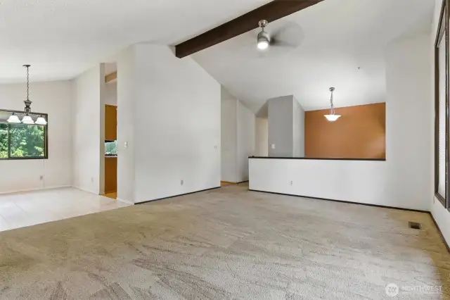 Vaulted Ceilings