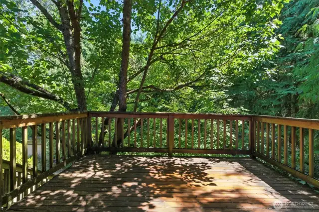 Deck off Primary