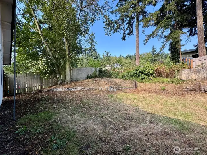 Large Backyard