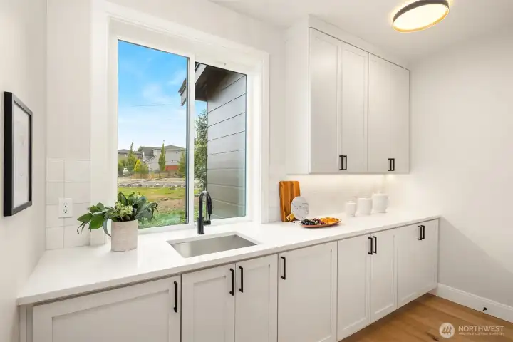 Large Butler Pantry with under mount Stainless sink