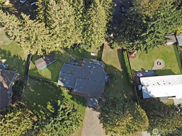 Aerial view showcasing six skylights, fully fenced backyard, and large storage shed—bright, functional Bonney Lake rambler with great outdoor space.
