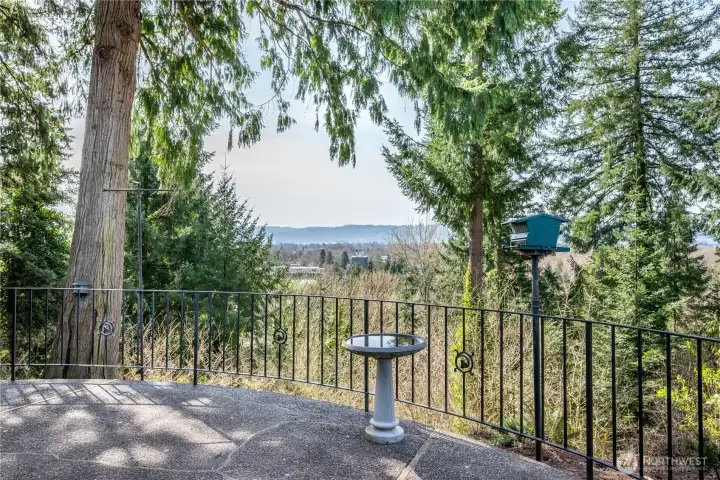 Views of town & the Lewis & Clark bridge