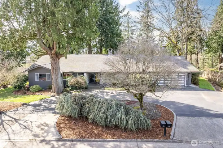 Wrap around driveway